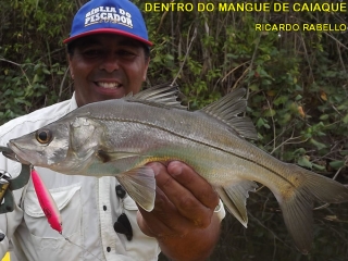O pescador e seu troféu