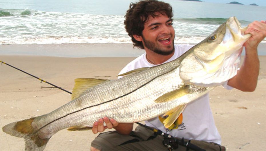 Técnicas para pesca do robalo na praia - dicas , iscas e muito mais