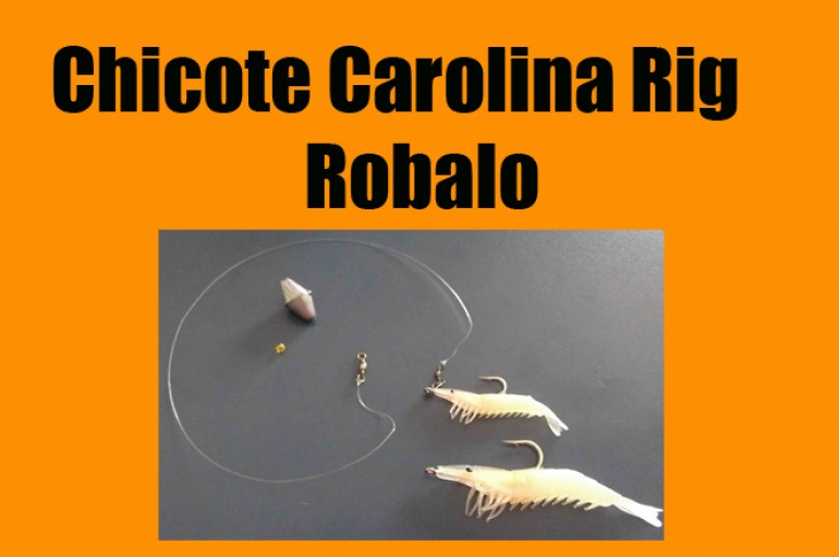Chicote Carolina Rig – Robalo