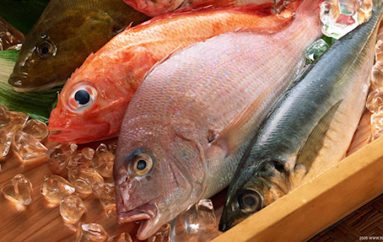 Os cuidados com peixes e frutos do mar
