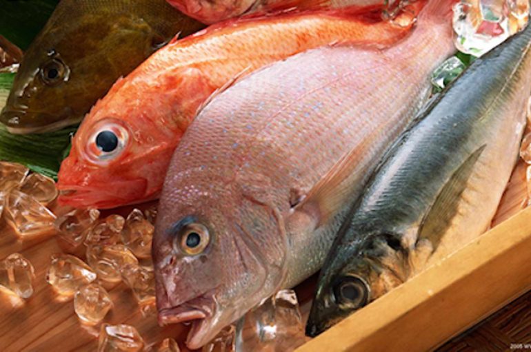 Os cuidados com peixes e frutos do mar