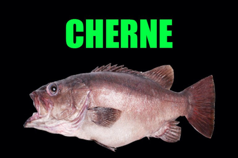 Cherne