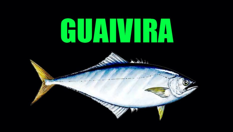 Guaivira